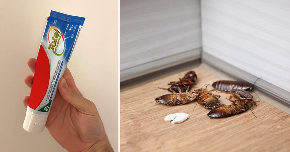 2282382378 950x500 1