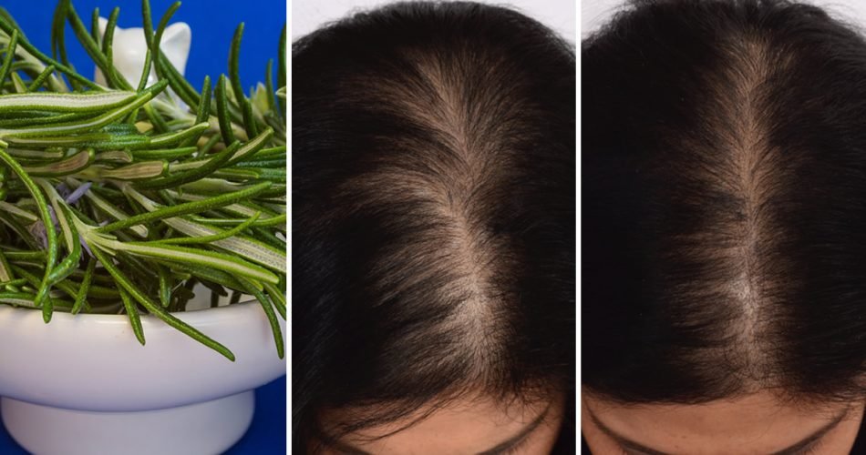 23234455456 950x500 1