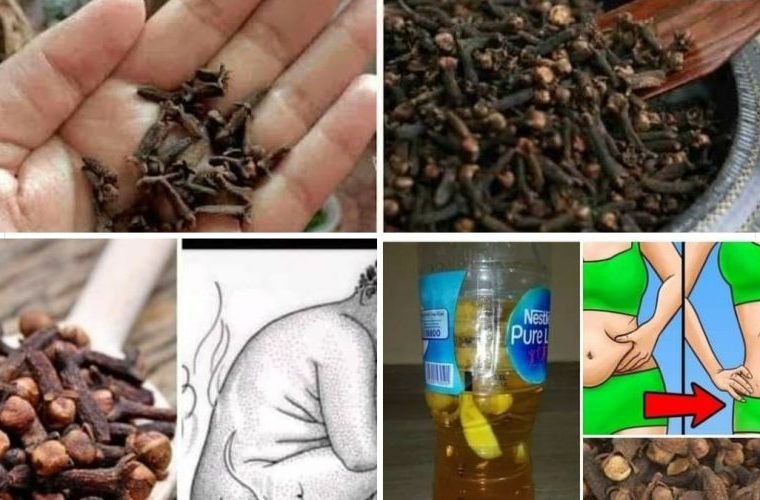 324467013 2280968068751676 5309735190282174789 n 800x500 1 760x500 1