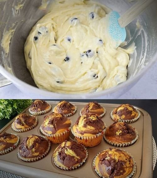 327360239 1350571685761778 2514914066299634011 n