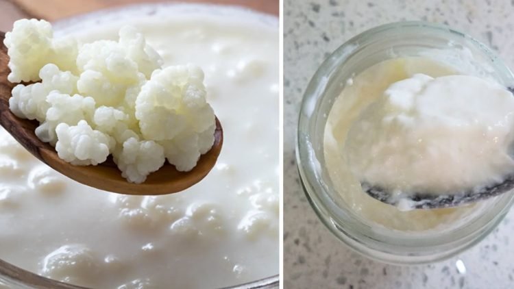 aliments anti ballonnements 750x422 1