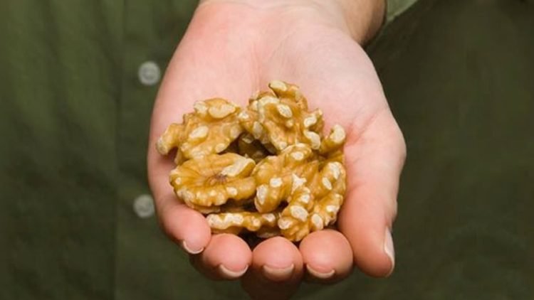 mangez des noix chaque jour 750x422 1