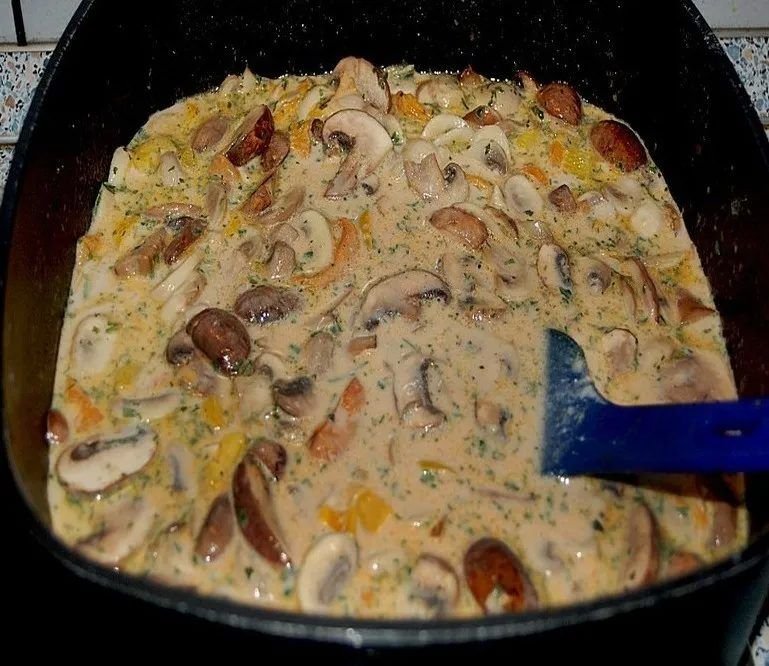 339309204 918299882716836 385271974016677013 n