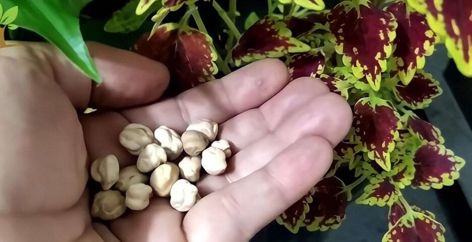 344847504 618143830339659 531843318578129975 n