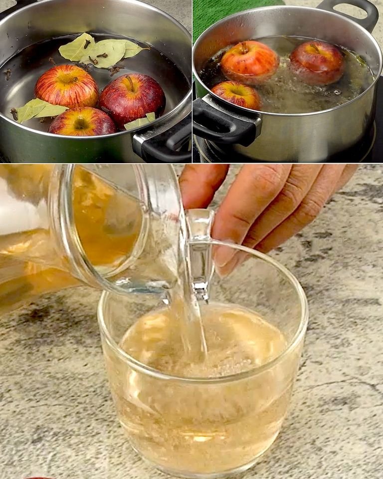 344848442 1231888257450961 1511369470720962027 n