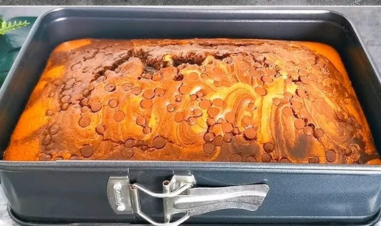 347137347 249593177737088 492040584521695446 n