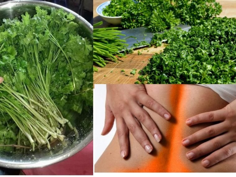 Vignette YouTube 1280x720 px 1 760x570 1