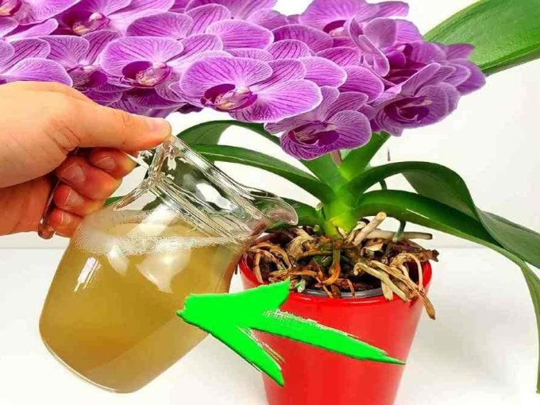 c72e8134 2f8a 4336 8d2e c04e8b05245c 760x570 1