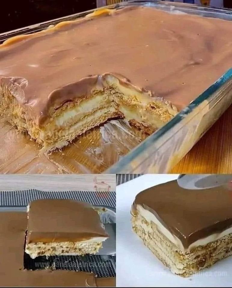 348282023 571878901776410 3961723467830463472 n