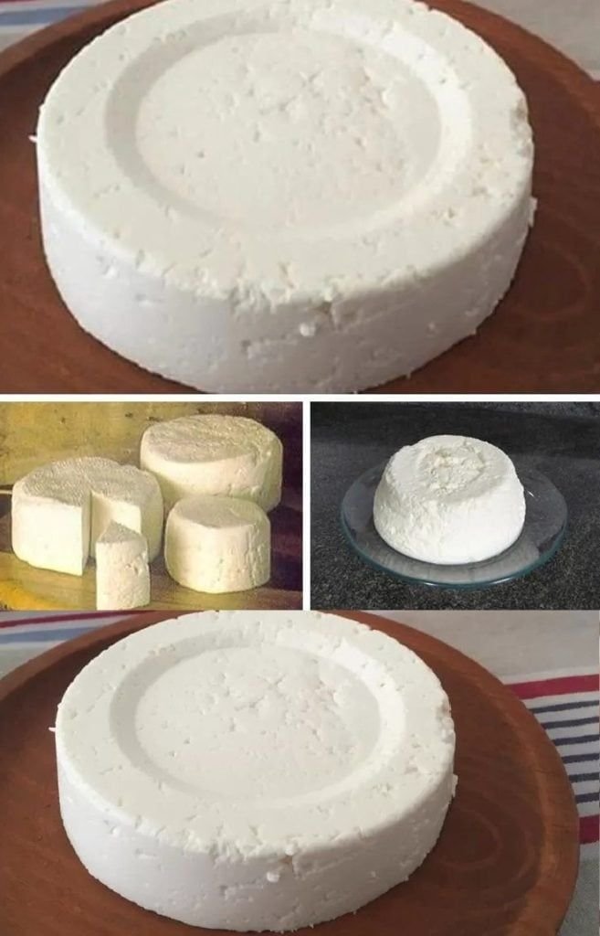 350265018 806423060843468 5533155697650843376 n