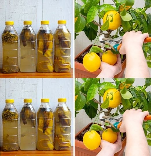 353755182 159521797118779 2987184354051168454 n