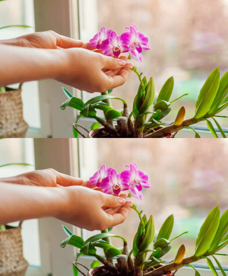 44e9e0a4 7176 47e0 9fec 03dc5f80b13b