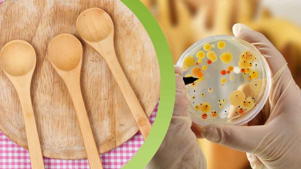 les louches en bois sont des nids a bacteries ne les nettoyez pas avec un detergent mais utilisez cette methode infaillible pour les eliminer pour de bon