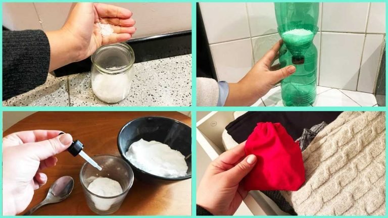 4 astuces naturelles pour absorber lhumidite a la maison 768x432 1