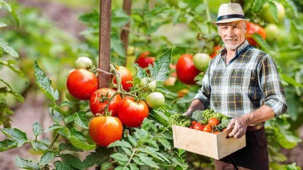 4 astuces super pratiques pour diminuer larrosage de vos plantes et eviter le gaspillage deau 1 1024x576 1