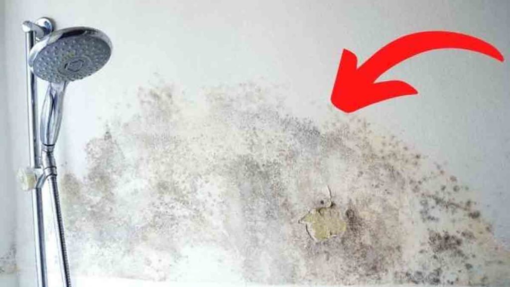 8 astuces efficaces pour enlever lhumidite dans une salle de bains sans fenetre 1024x576 1