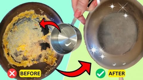 Easy Pan Cleaning Hack to Save You Hours of Scrubbing 480x270 1