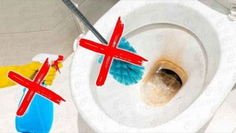 Easy Way to Clean Toilet Bowl Without Scrubbing 480x270 2