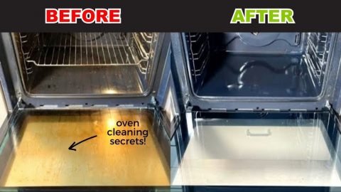 How to Clean Your Oven Like a Professional 1 480x270 1