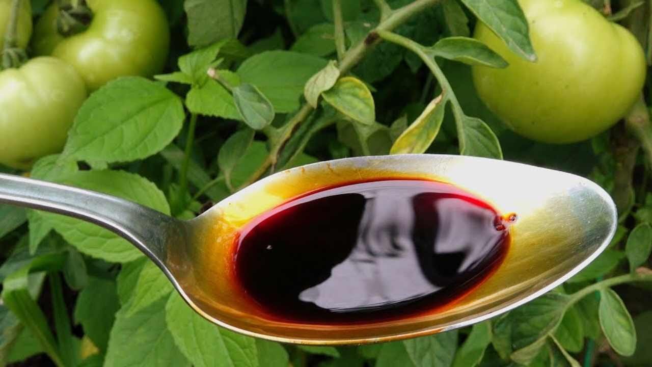 Integratore naturale per piante