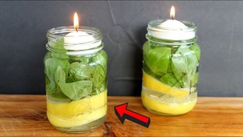 Mosquito Repellent Candle That Actually Work 480x270 1