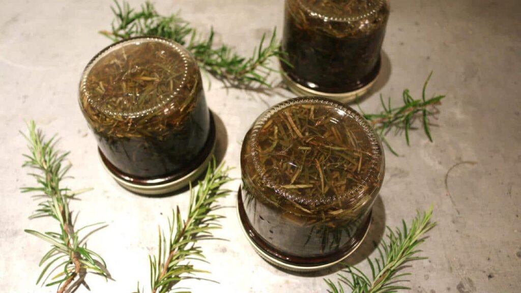 Rosmarino nellalcool