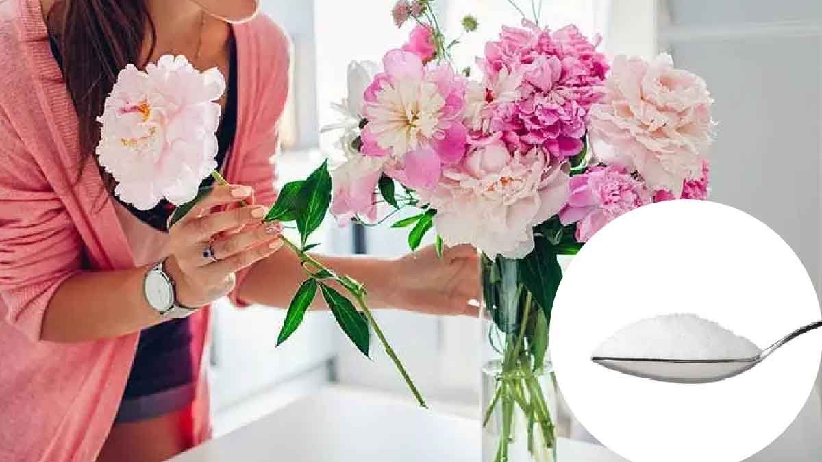 comment garder les fleurs coupees en vase plus longtemps decouvrez lastuce brillante des fleuristes