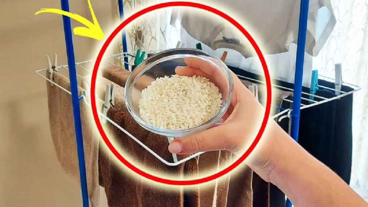 comment neutraliser lhumidite interieure lorsque vous suspendez les vetements a la maison