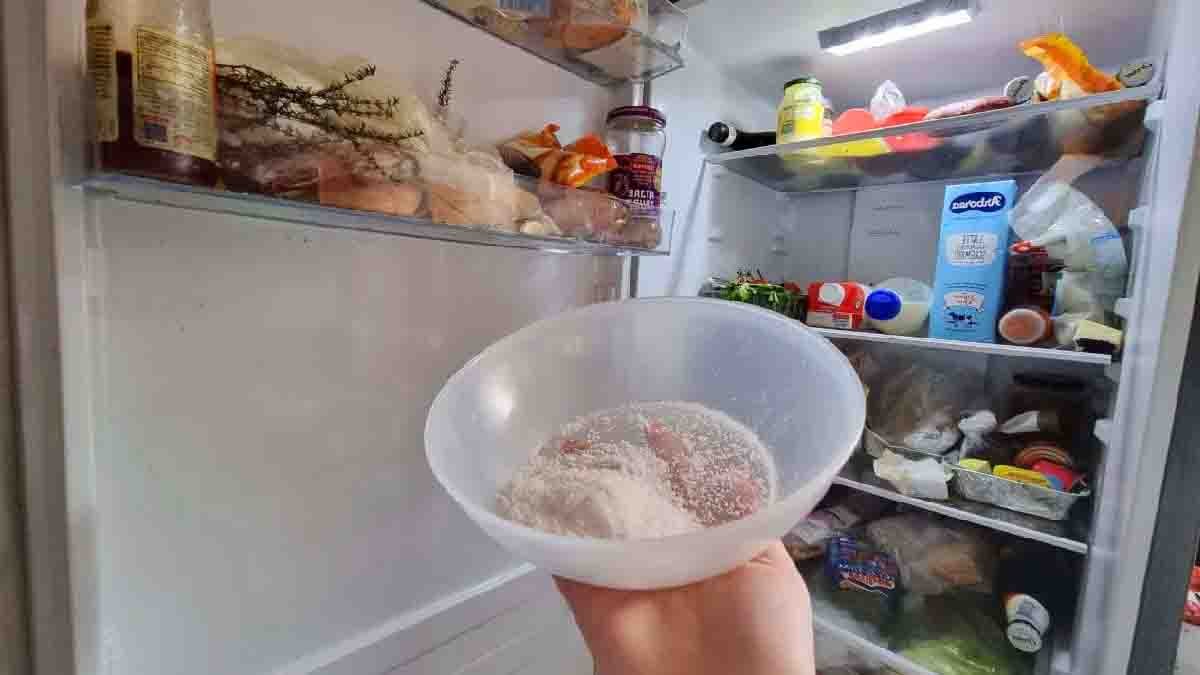comment tuer les plus de 8000 bacteries presentes dans le refrigerateur