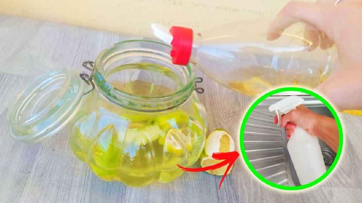 comment utiliser le vinaigre parfume pour nettoyer toute la maison