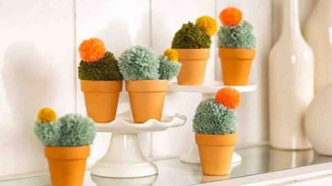 diy pom pom cactus tutorial 480x270 1
