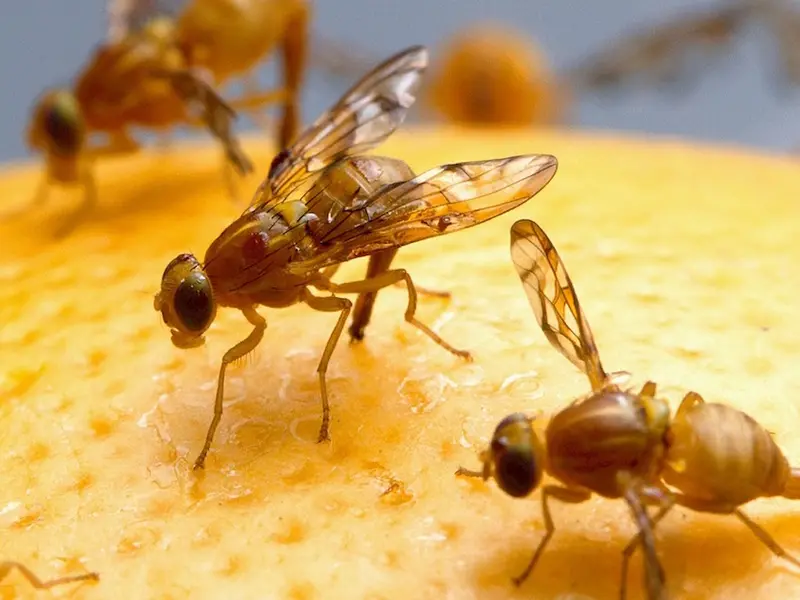 main original 5b8ee1512246f 282536