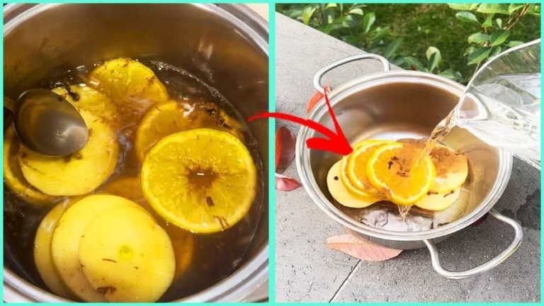 parfum a lorange et a la cannelle pour absorber toutes les mauvaises odeurs de la maison 768x432 2