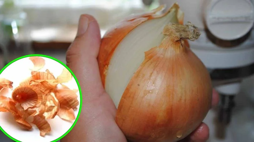 pelures doignon tout le monde les enterre dans le jardin lancienne astuce utilisee par les jardiniers.jpg