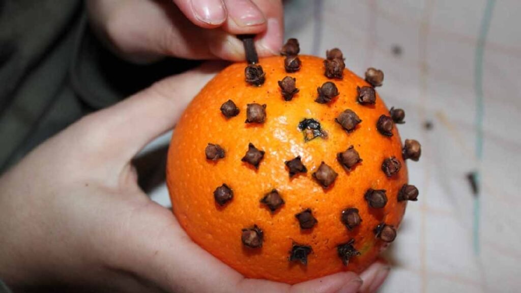 plantez des clous de girofle dans une orange pour dire adieu a ce desagrement tres ennuyeux
