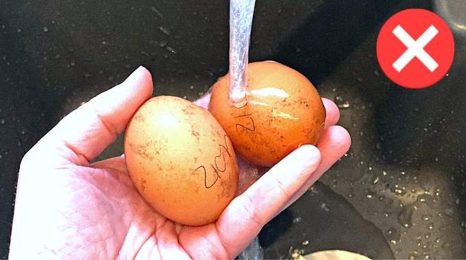 pourquoi il ne faut jamais laver les oeufs lerreur a ne