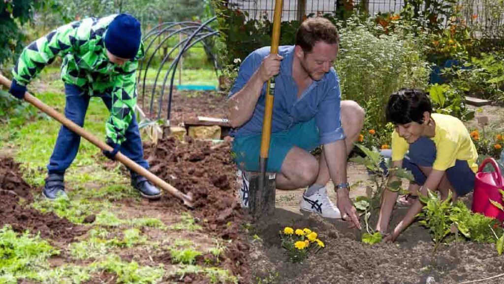 quelles sont les erreurs a ne pas commettre pendant que vous vous occupez de votre potager en hiver