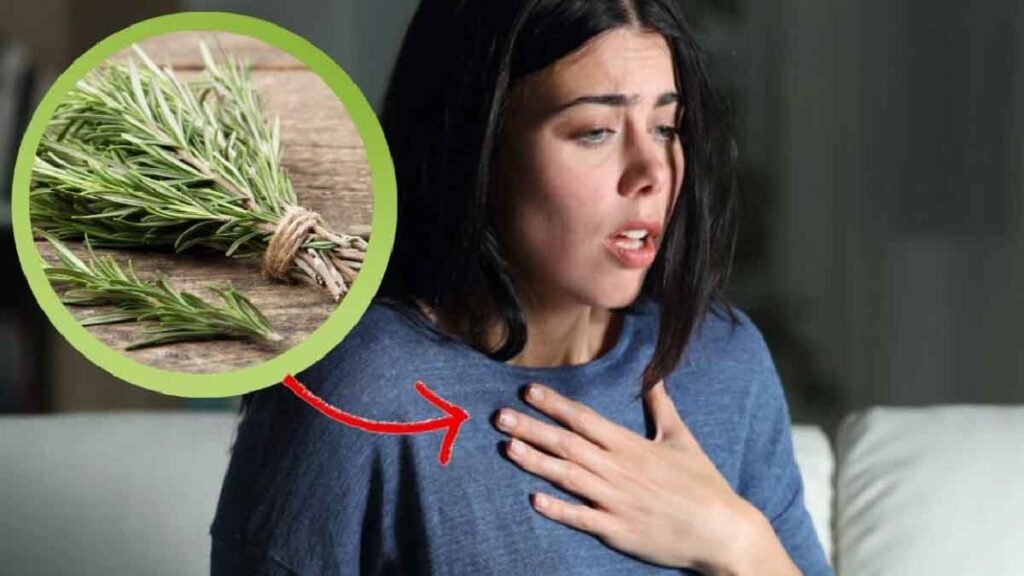 romarin cette infusion 100 naturelle peut vous sauver la vie