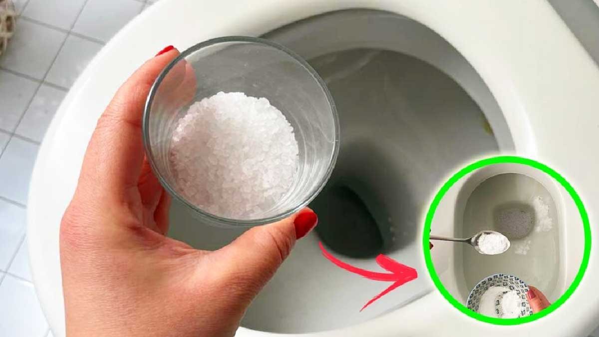 si vous sentez des mauvaises odeurs emanant des toilettes essayez ces remedes naturels super efficaces