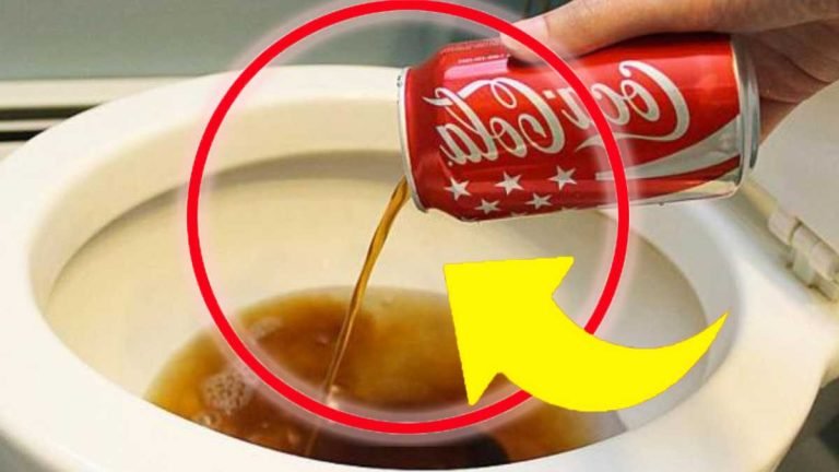 verser une tasse de coca cola dans les toilettes 768x432 1