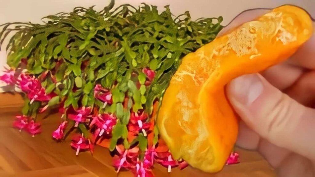 Far fiorire le piante 1