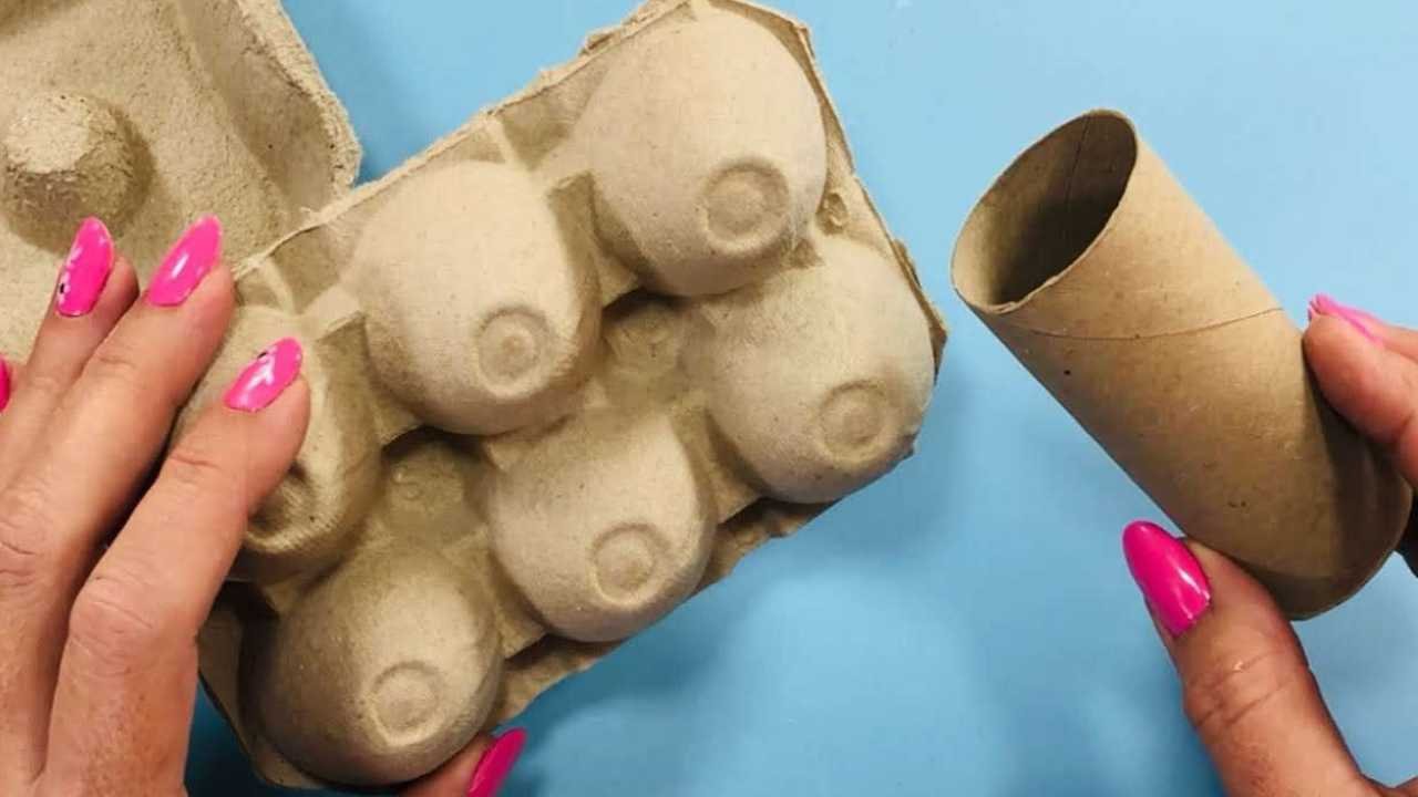 cartone uova e rotolo di carta igienica