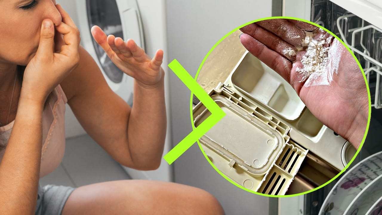 cattivi odori lavastoviglie