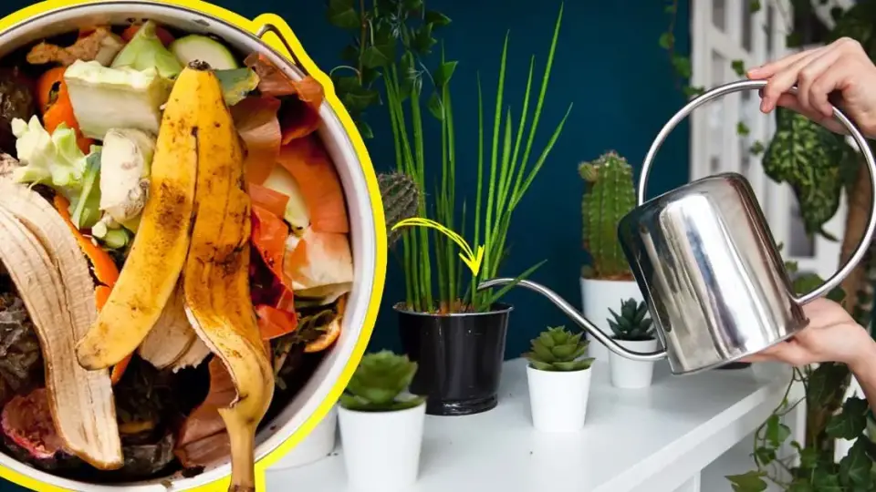 Engrais naturel voici comment utiliser les epluchures des fruits et legumes pour nourrir les plantes 1200x628 1 960x540 1