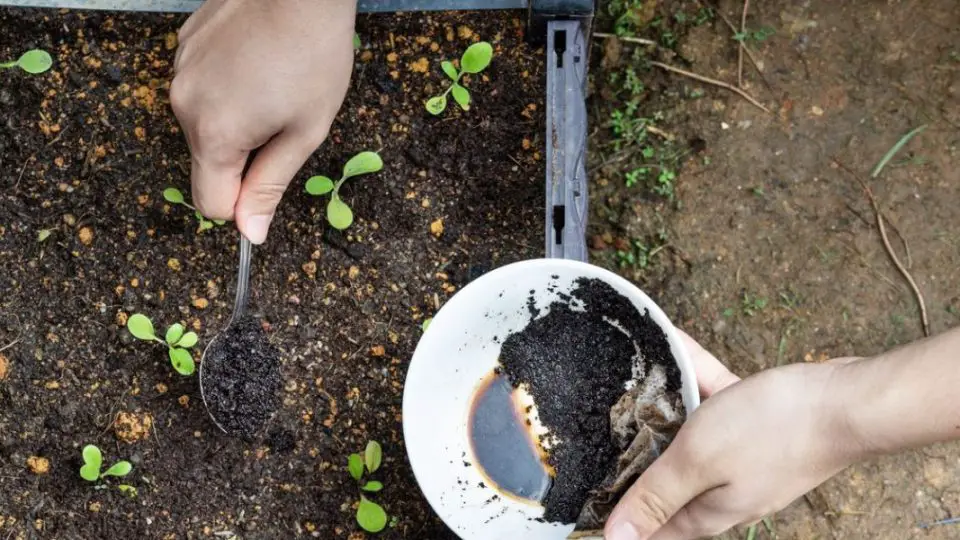 fabrication engrais 1220x600 1 960x540 1