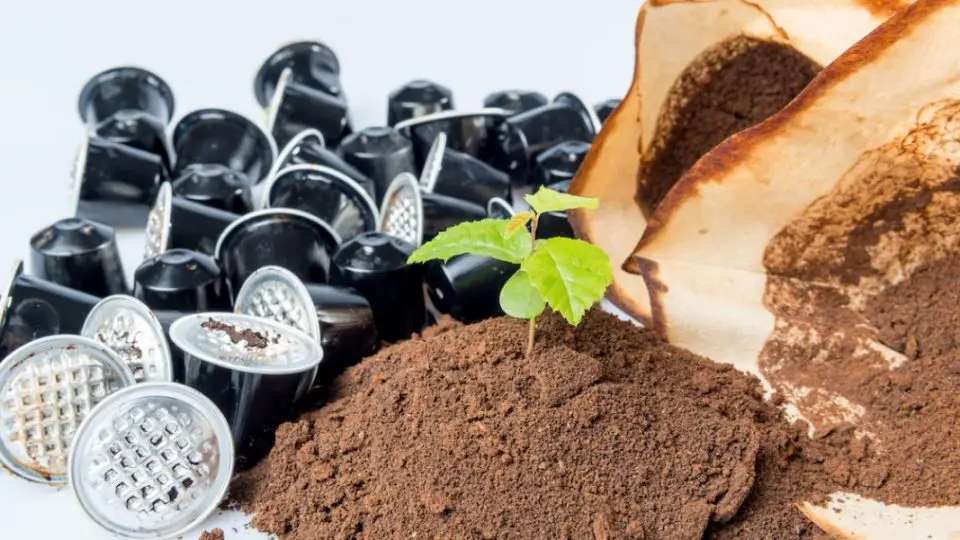 marc de cafe asstuces 1220x600 1 960x540 1