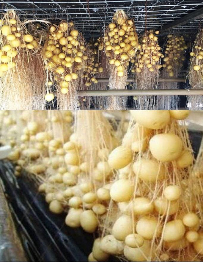 392944714 307804588667182 1997986558021029832 n