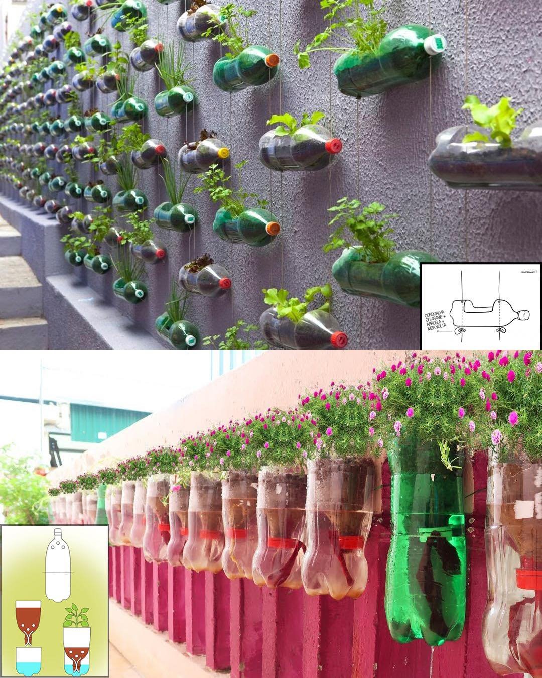 393941656 308878778559763 3674061824442897343 n