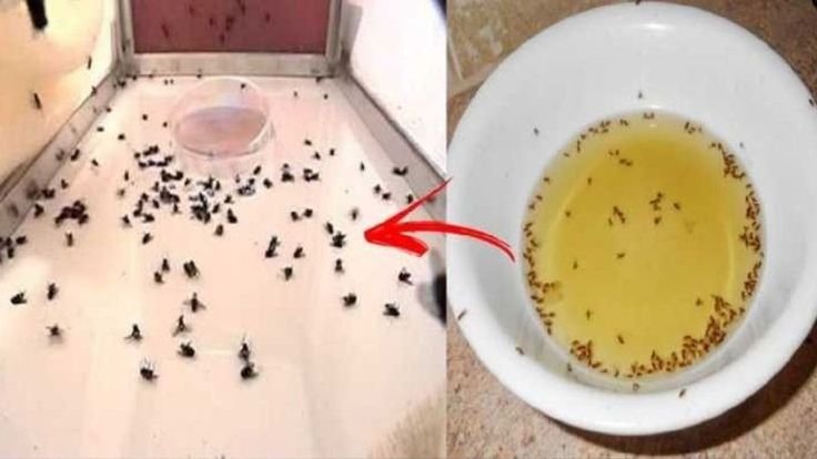 336a484ec1a9b2019fb7fabbbe6fc473