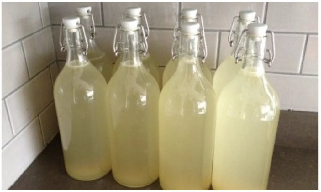 Snimka obrazovky 2022 07 21 o 15.00.35 1 1024x615 1